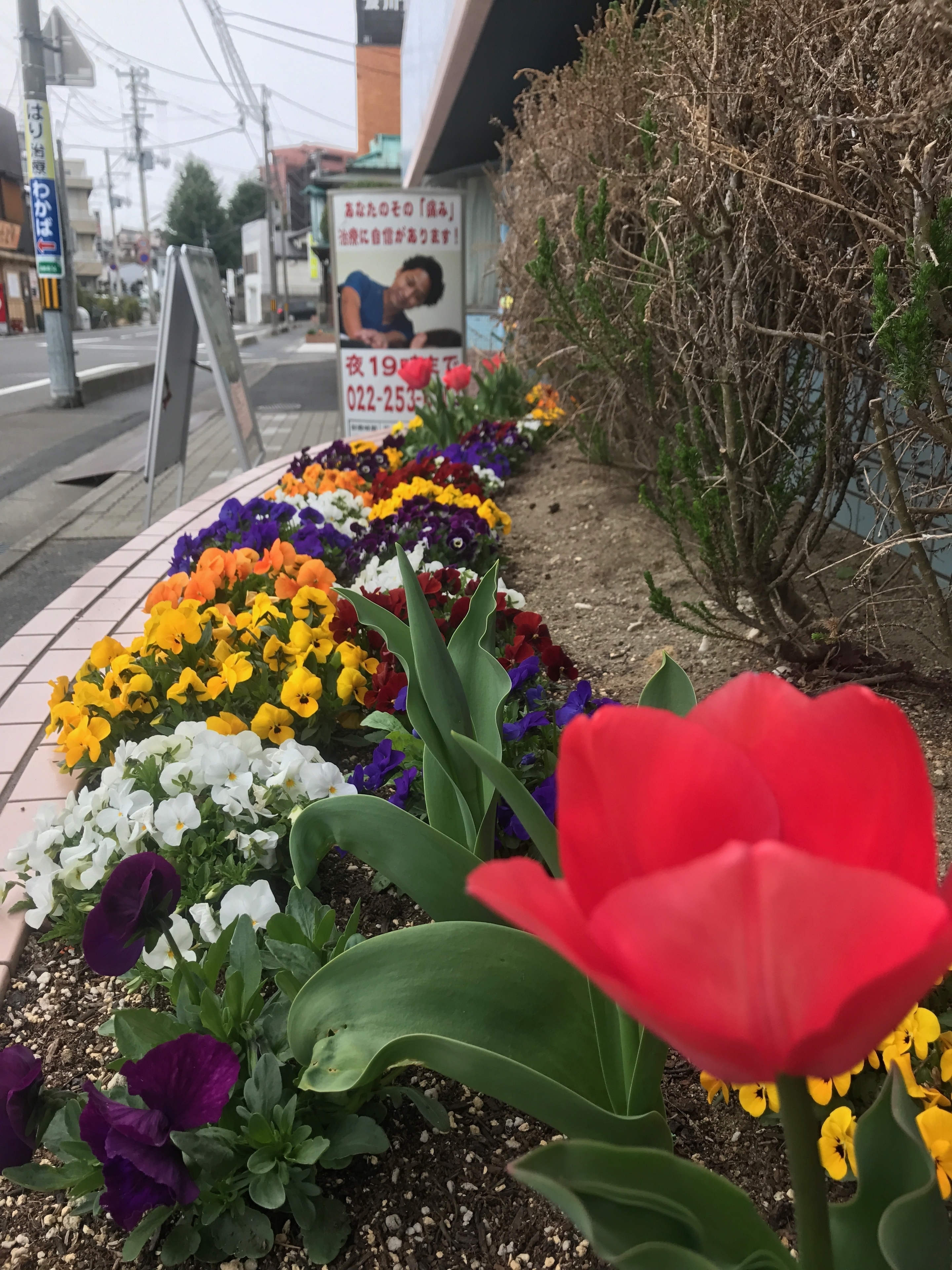 かだん