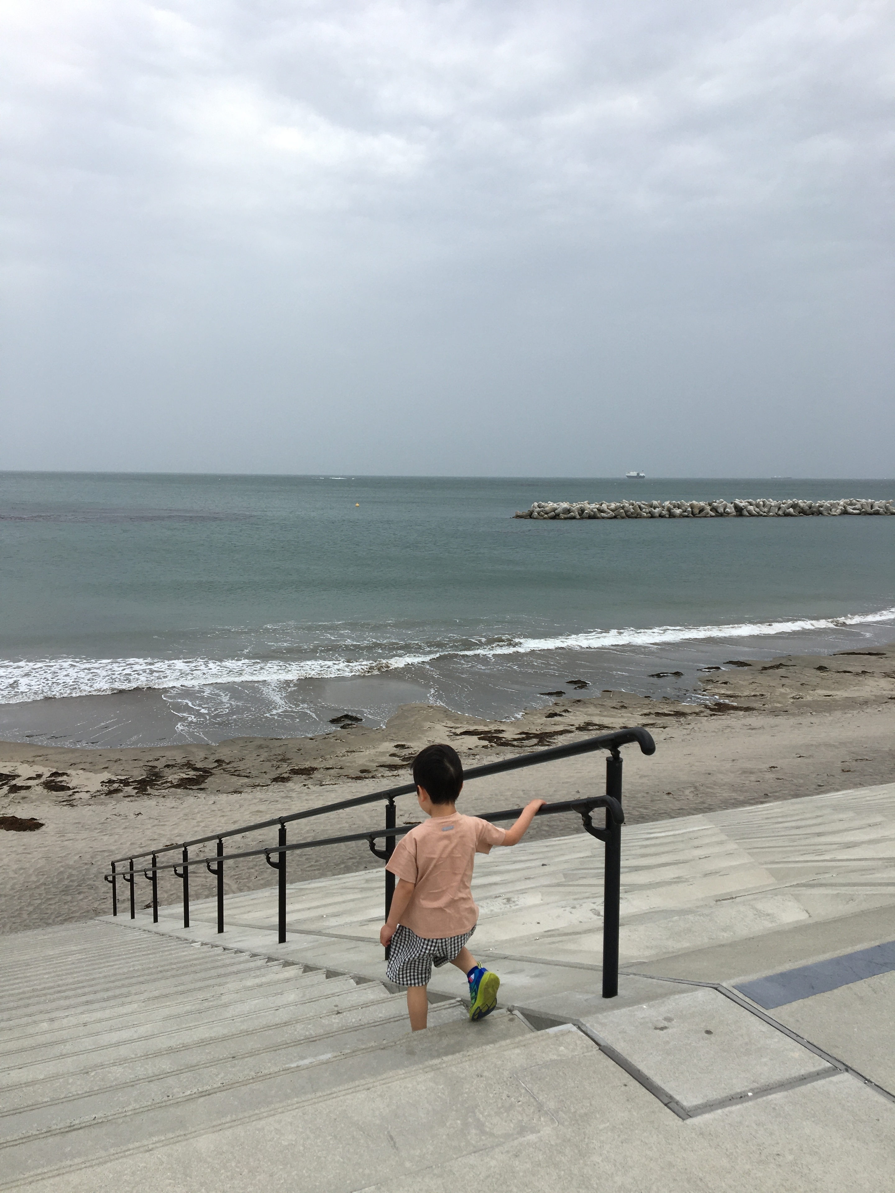 海