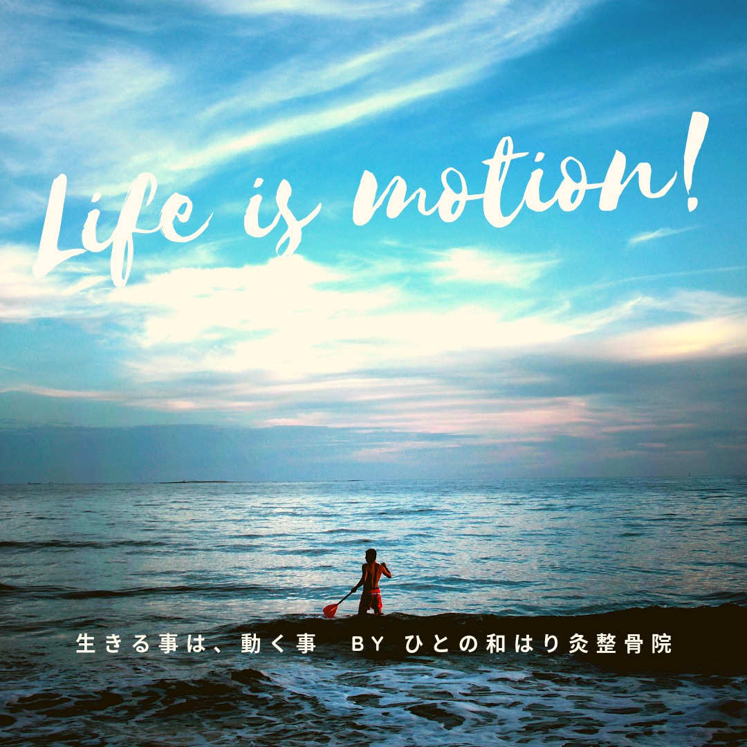 らいふいずもーしょん