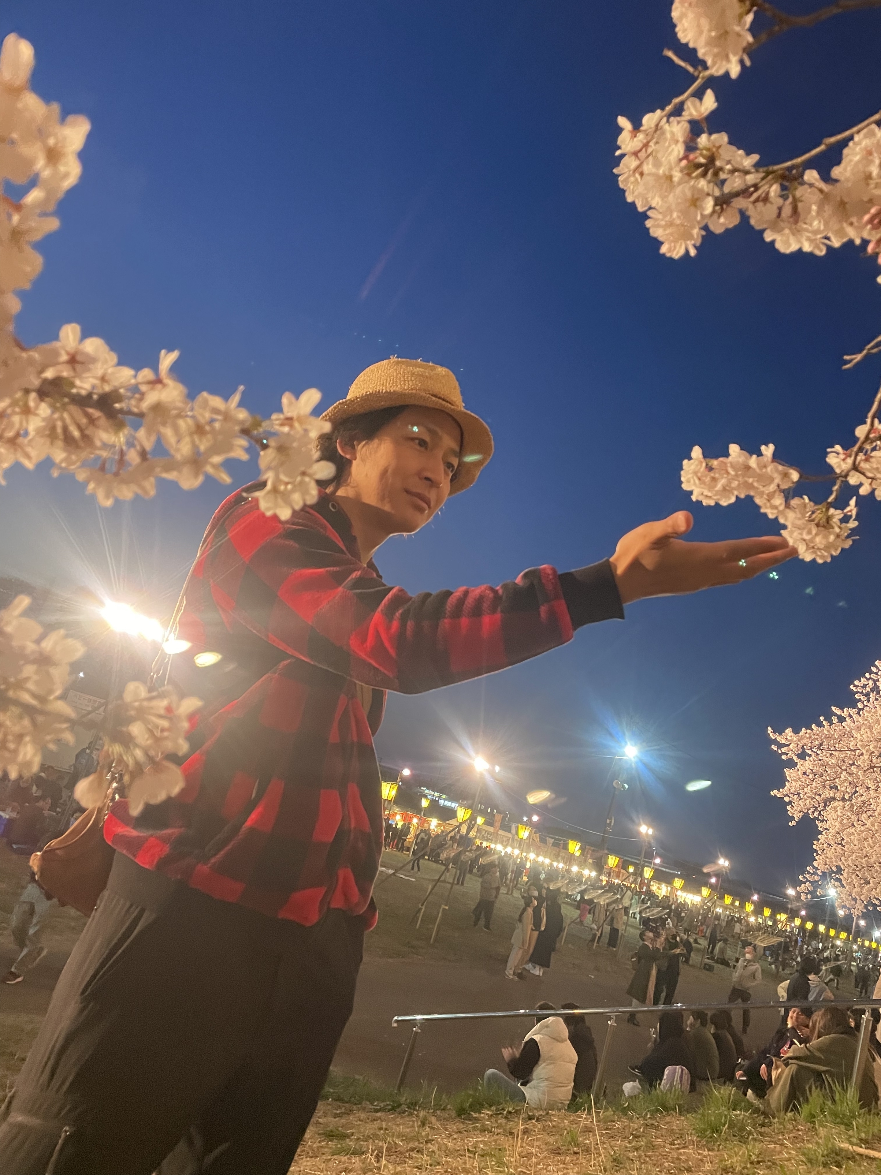 桜と自分