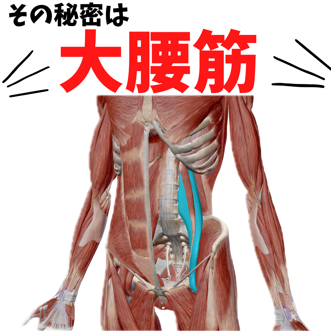大腰筋